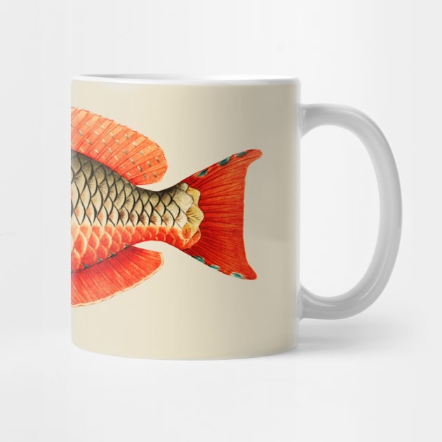 Red Parrot Tropical Fish by Heartsake